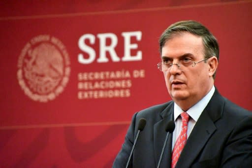 Mexican foreign minister Marcelo Ebrard said his country 'will never allow any action that means a violation of its national sovereignty'