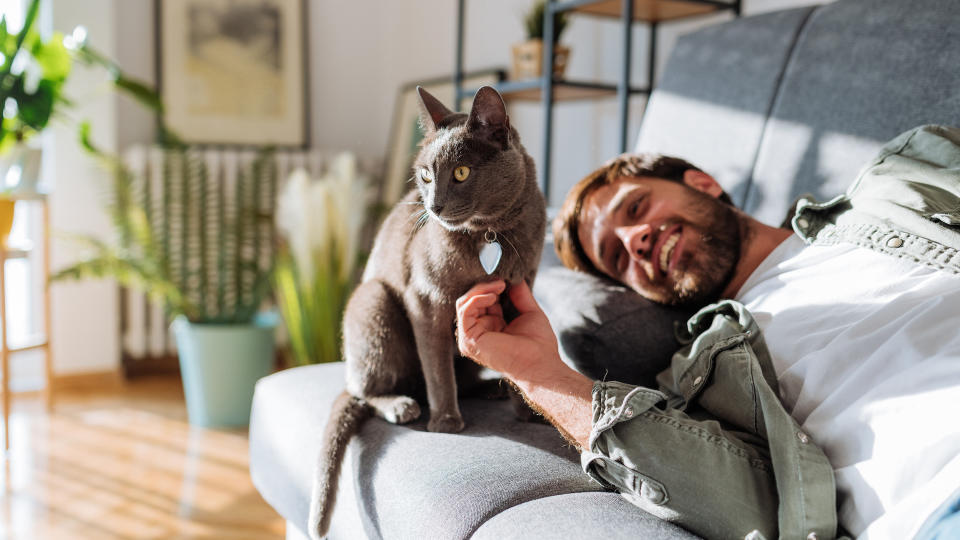 Man lying on sofa stroking cat