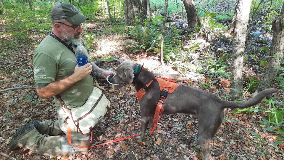 Michael Beck holds a water bowl for his dog Dexter after a training run through the woods Sept. 6 near the Quemahoning Reservoir in Somerset County. The duo work together to help hunters find their deer.