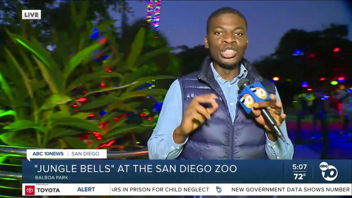 Jungle Bells Will Be Ringing This Holiday Season at San Diego Zoo