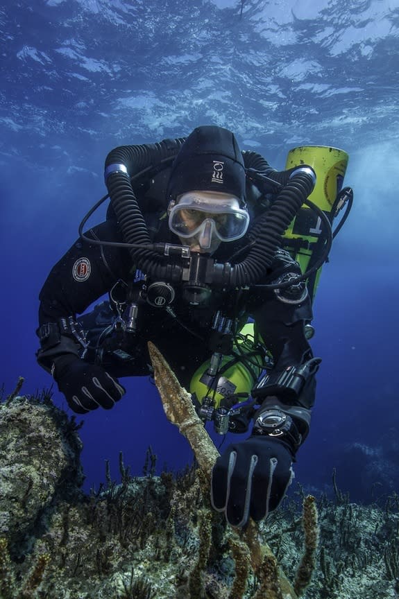 Philip Short, the project chief diver of the "Return to Antikythera" mission, inspects the 6.5-foot-long (2 meters) bronze spear recovered from the wreck.