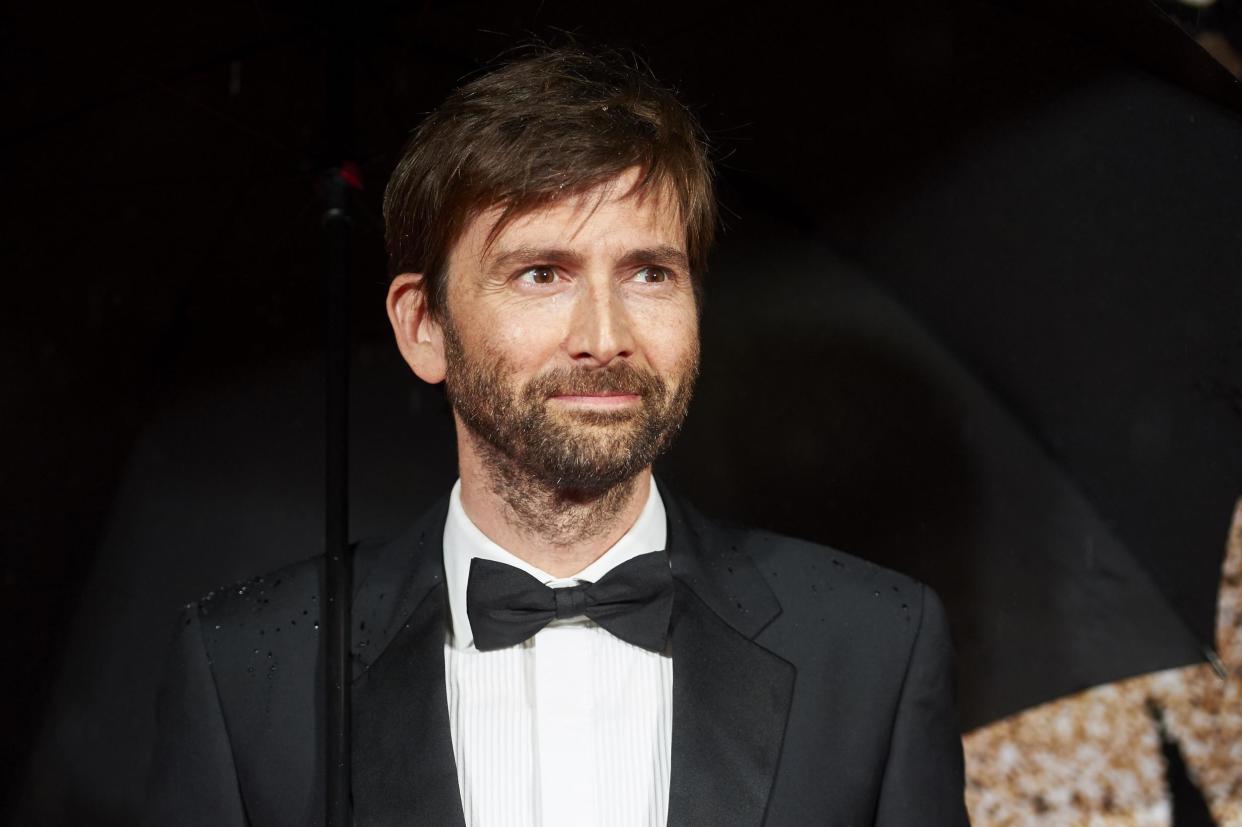 Tennant will star alongside Michael Sheen in the new Amazon series: Getty/Niklas Halle'n