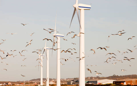 Wind turbines - Credit: Alamy