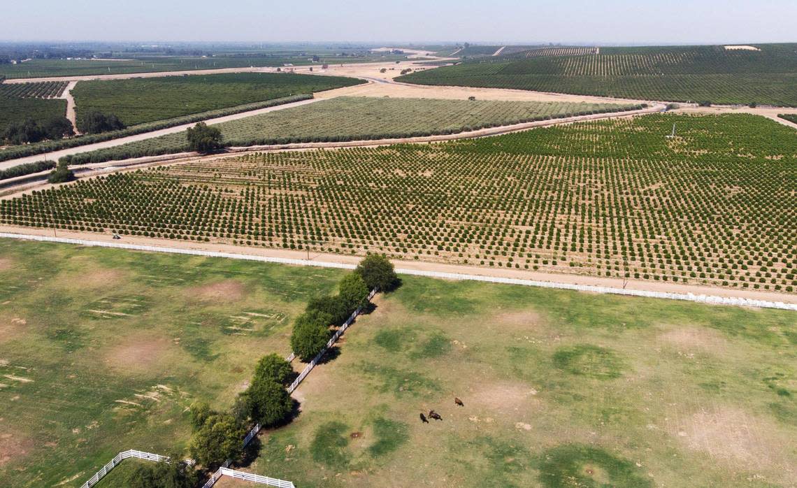 The Harris River Ranch property, over 7,000 acres near the Kings River along Trimmer Springs Road, has been proposed as a special study area and added to the Fresno County general plan. Owned by John Harris, the land may become home to a college campus, housing, commercial and recreational use including hiking trails along the river and more. Photographed Thursday, July 14, 2022.