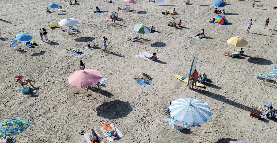 Spot the pup on a beach towel? Look closer... Picture: Samsung