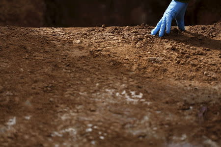 A member of the Association for the Recovery of Historical Memory (ARHM) takes part in the exhumation of a grave in Guadalajara's cemetery, Spain, January 19, 2016. REUTERS/Juan Medina