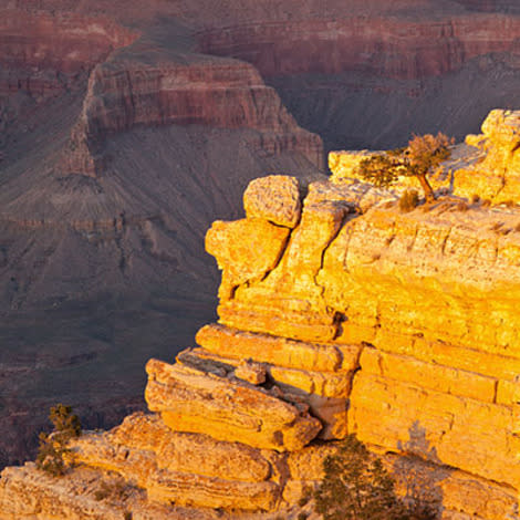 Try the North Rim