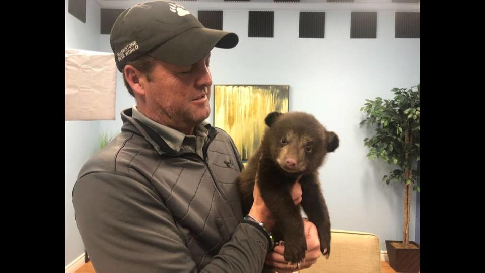 In this 2020 file photo, Yellowstone Bear World owner Courtney Ferguson holds a black bear cub.