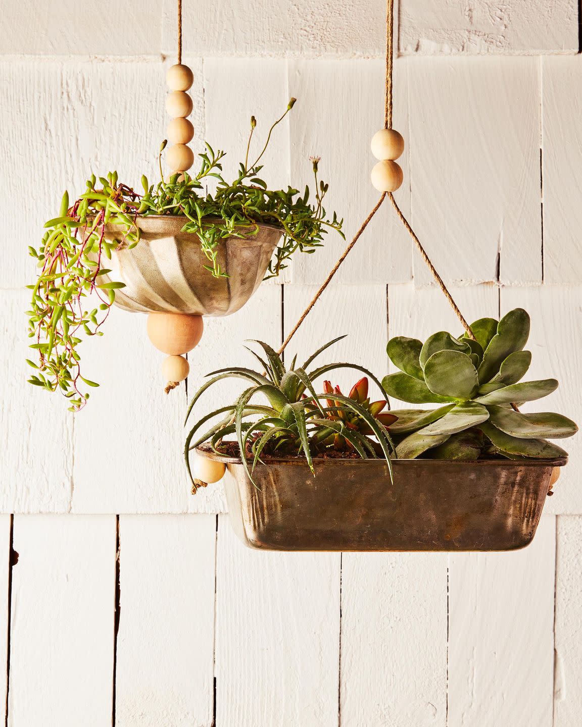 kitchen pants filled with succulents and transformed into hanging planters hung in front of a white shingled wall