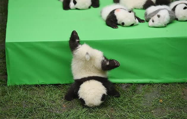 Look out! Photo: Getty