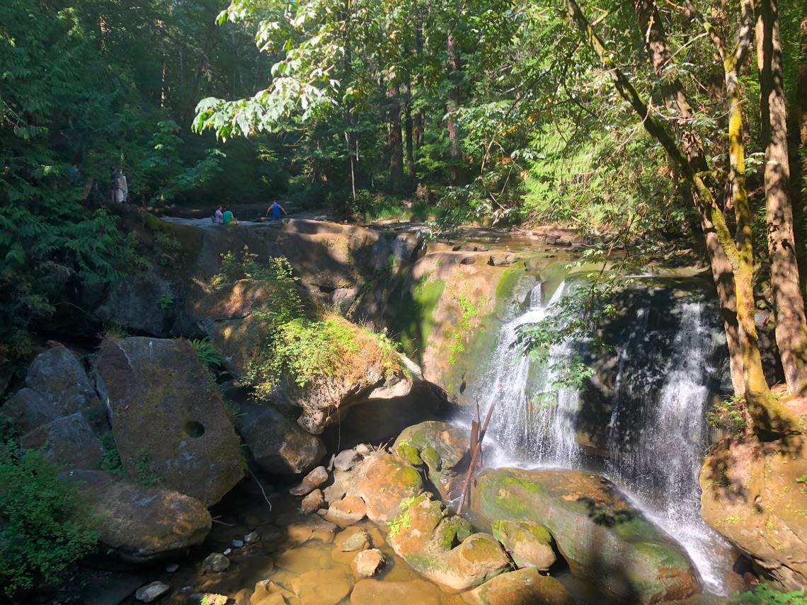 People wade in Whatcom Creek at Whatcom Falls Park Friday, July 29, in Bellingham.