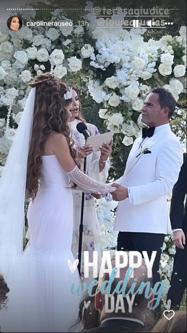 Real Housewives' star Teresa Giudice and Luis Ruelas got married