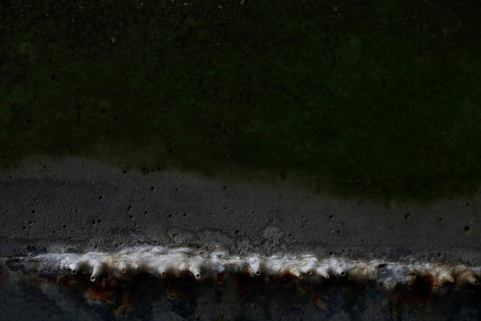 <p>Stalactites are seen along the bank of the River Thames during low tide in London, Britain on Feb. 24, 2017. (Photo: Stefan Wermuth/Reuters) </p>