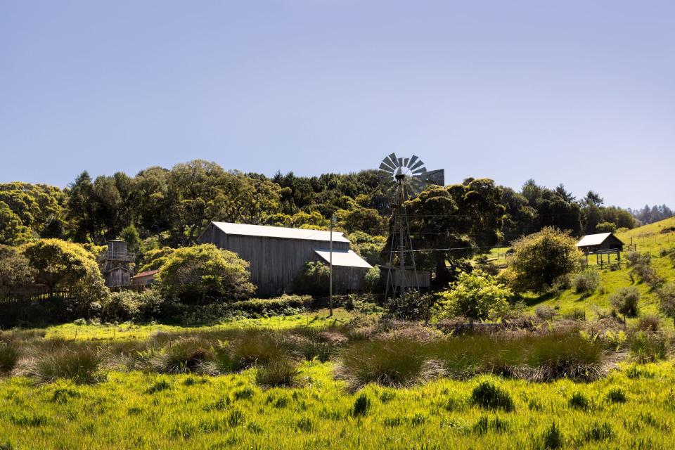 A view of the structures on Annie Leibovitz's California estate
