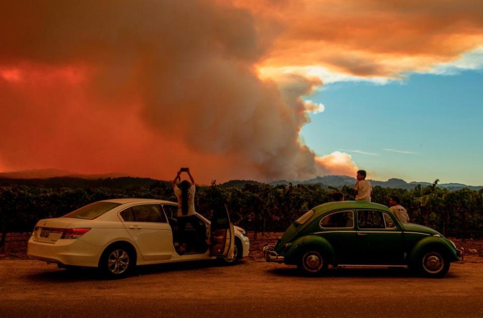 People watch the Walbridge fire from a vineyard in Healdsburg on Thursday.