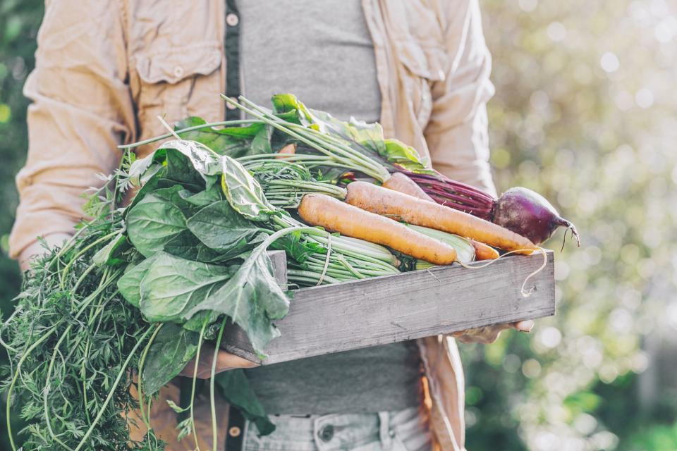 Auch ein Saisonkalender für Gemüse und Obst hilft, klimaneutrale Lebensmittel aus der Region zu wählen. Denn saisonales und regionales Obst und Gemüse aus dem Freilandanbau ist nicht nur frisch und schmeckt besser, sondern spart auch Ressourcen. Energiekosten für Gewächshäuser und Plantagen sowie internationale Transportwege entfallen. (Bild: iStock / nerudol)