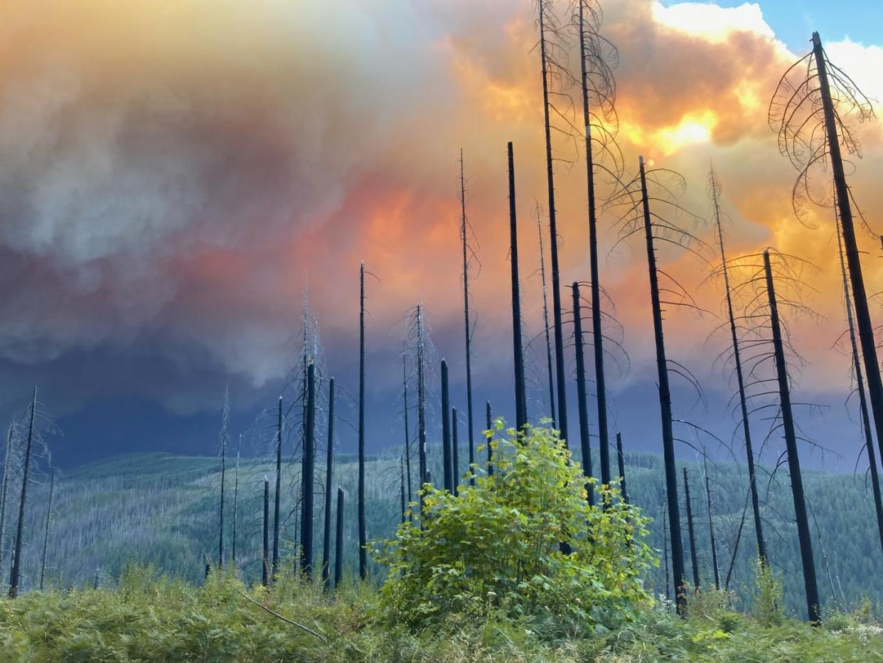 <span class="caption">The Riverside Fire, viewed from La Dee Flats in the Mount Hood National Forest in Oregon on Sept. 9.</span> <span class="attribution"><a class="link " href="https://flic.kr/p/2jF1Y2Q" rel="nofollow noopener" target="_blank" data-ylk="slk:USFS;elm:context_link;itc:0;sec:content-canvas">USFS</a></span>