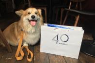 The best dog friendly restaurants in London