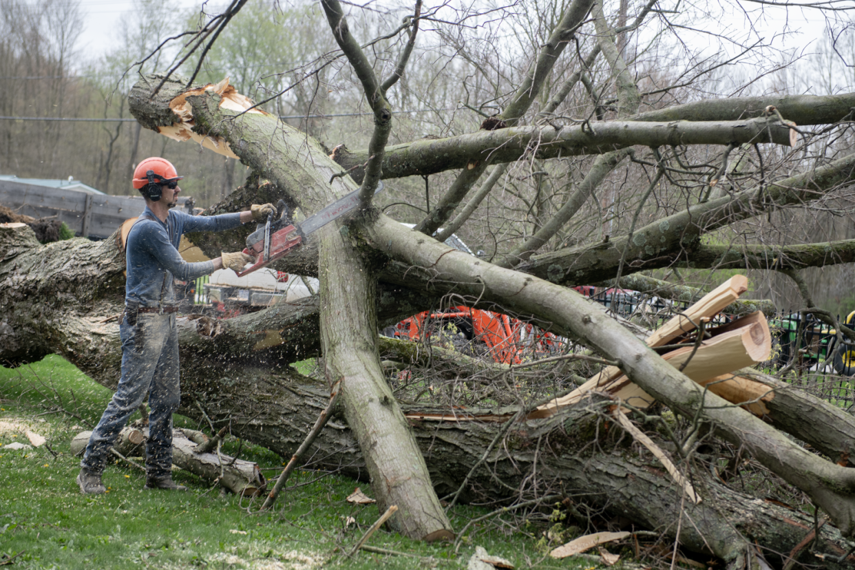 Matt Hickman, a Windham resident and co-owner of United Home Maintenance, works Friday, April 19, 2024, to help clear a large tree at Windham Cemetery. Community members donated a wood chipper and their labor alongside Portage County Jail inmates from the Inmate Training Program and worked to clear debris two days after an EF-1 tornado struck in town. A Windham trustee also donated lunch from The Hot Dog Shoppe in Warren.