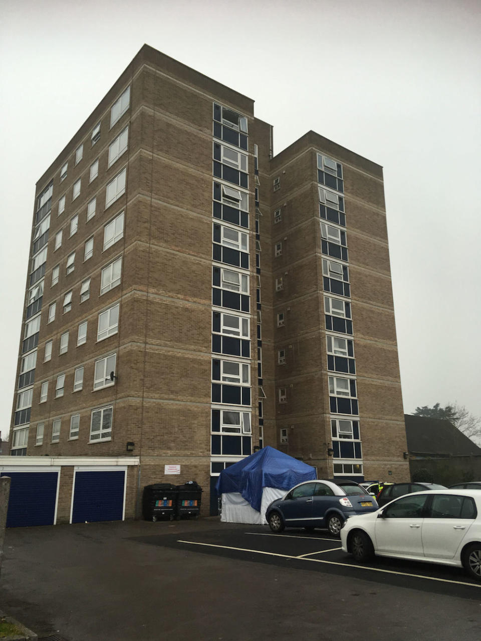 It is believed the mother-of-one fell from a block of flats in Brookbank, Turkey Street, Enfield (Picture: PA)