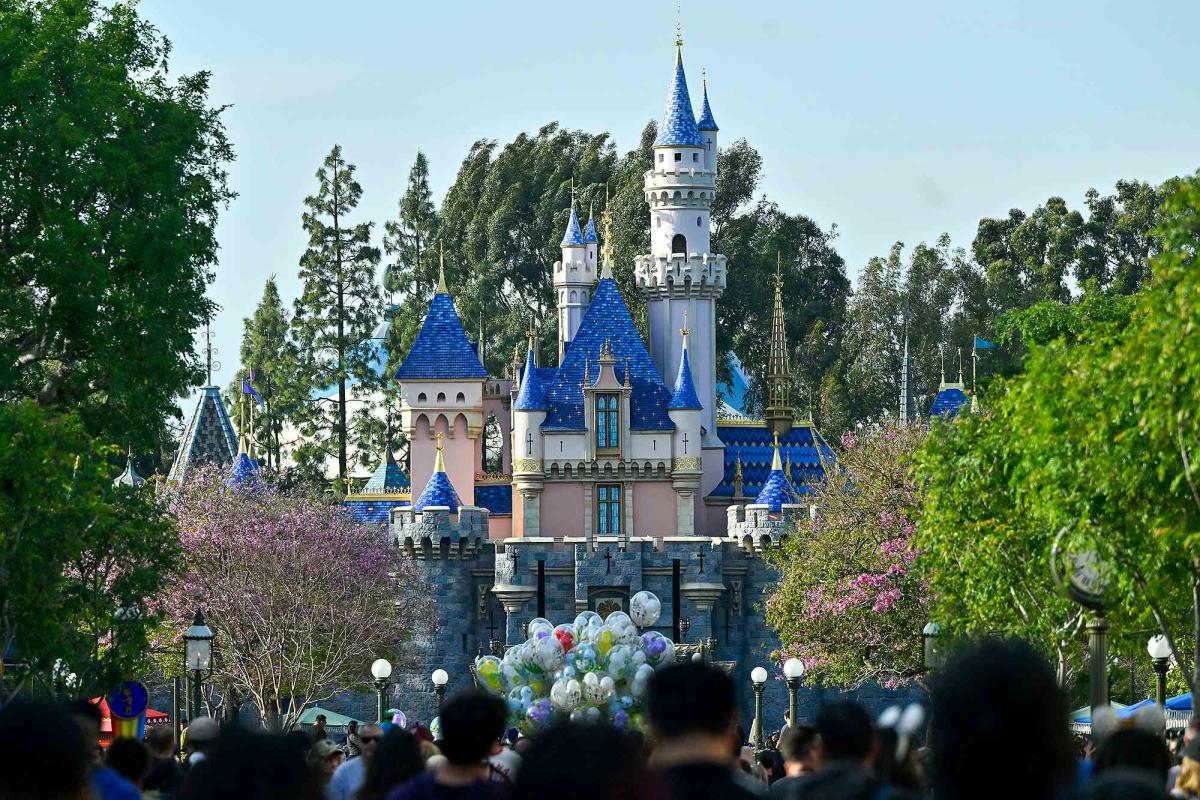 Disneyland Employee, 60, Who Worked for the Theme Park for 24 Years, Dead After Golf Cart Accident