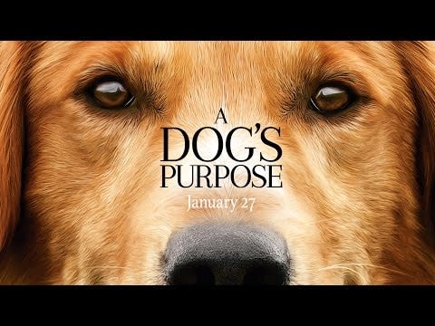 9) A Dog's Purpose (2017)