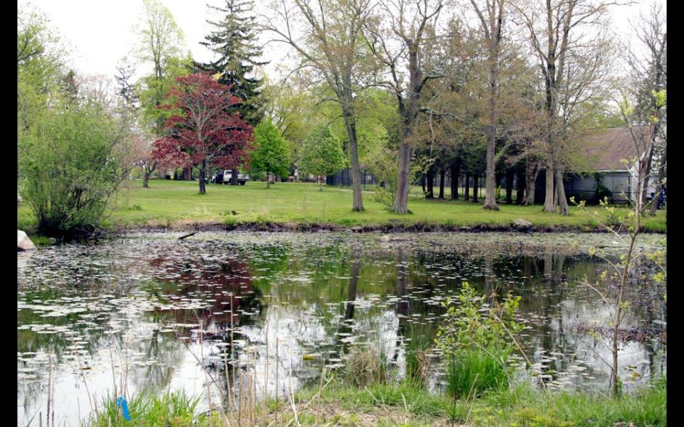 The meadow at Buttonwood Park