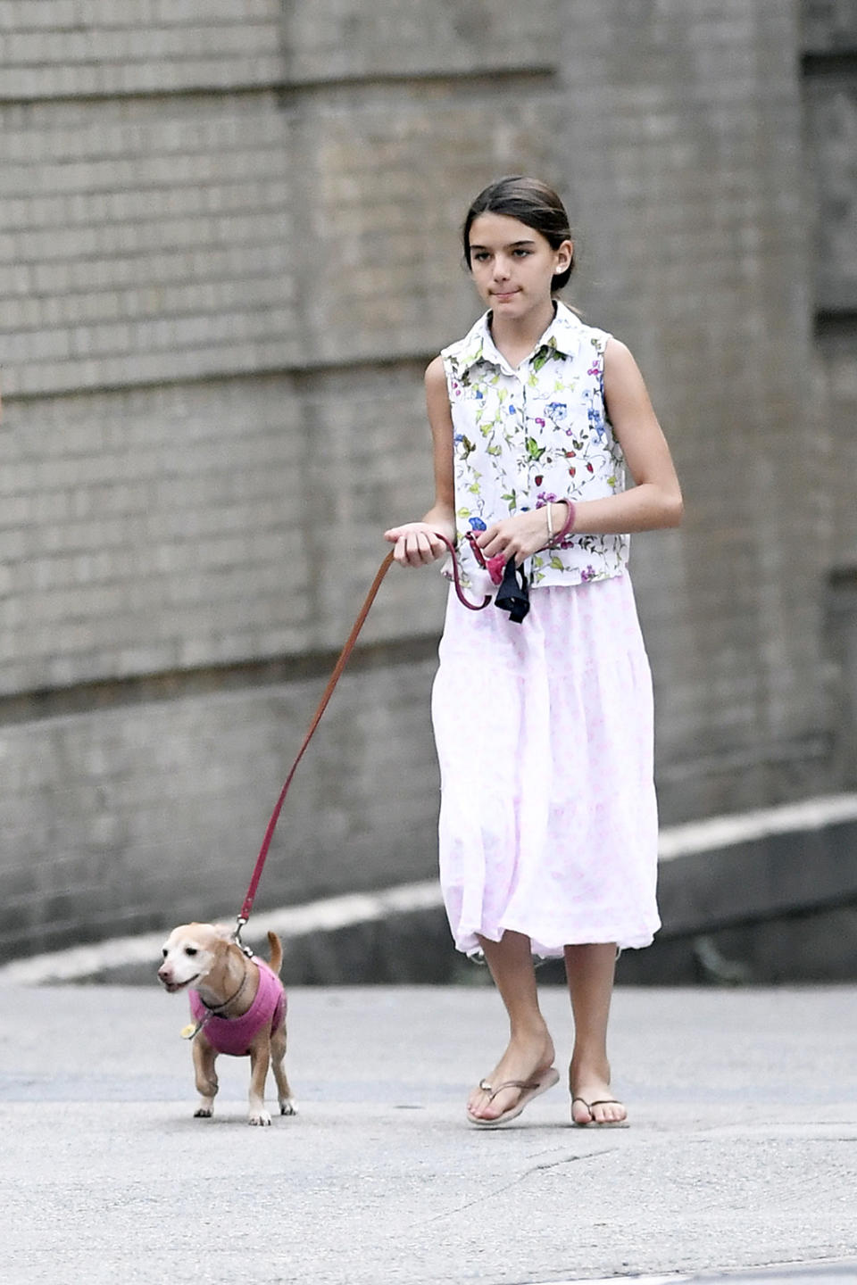 Suri Cruise walking one of her dogs wearing flip-flops. - Credit: Splash News