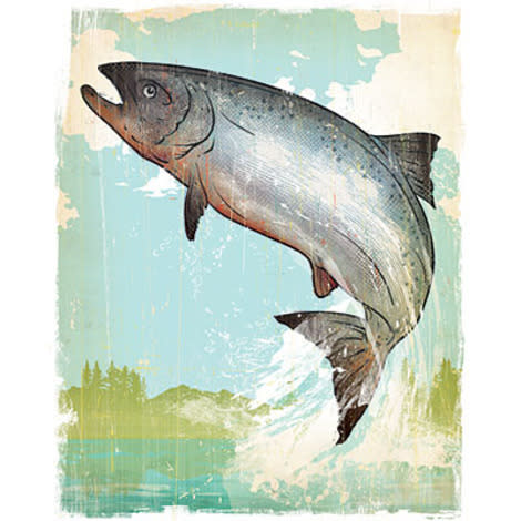 Use our guide to get all your facts straight about salmon—and then get cooking!