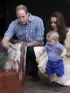 Britain's Kate, the Duchess of Cambridge and her husband Prince William watch as their son Prince George looks at an Australian animal called a Bilby, which has been named after the young prince, during a visit to Sydney's Taronga Zoo, Australia Sunday, April 20, 2014. (AP Photo/David Gray, Pool)