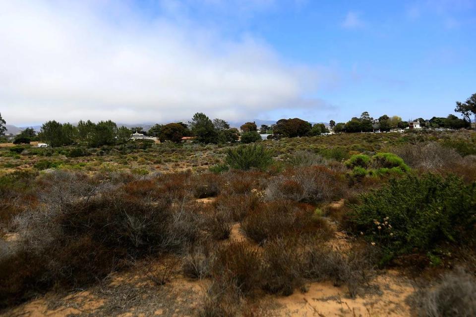 The basin that serves as Los Osos’ source of drinking water is contaminated by nitrates and sea water intrusion. San Luis Obispo County plans for more homes.