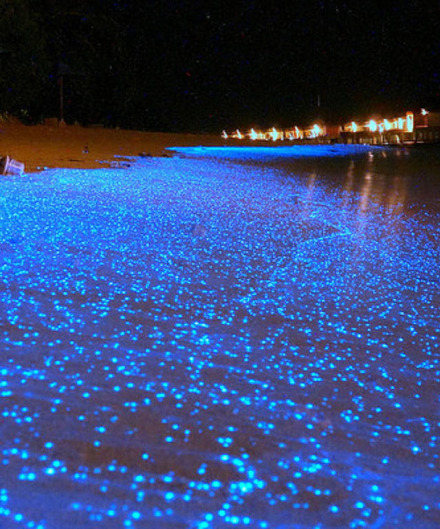 Incredible places that glow in the dark