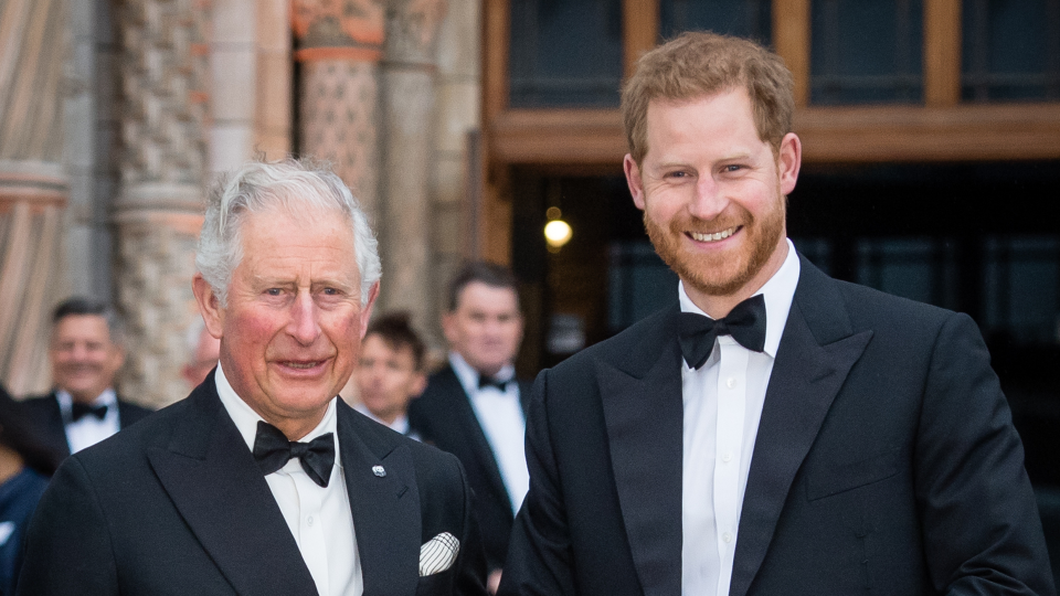 King Charles and Prince Harry on  April 4, 2019 in London, England.  / Credit: Samir Hussein/Samir Hussein/WireImage via Getty Images