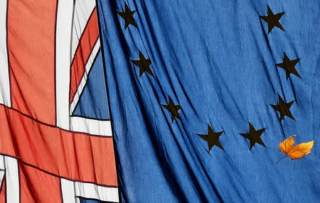 A leaf falls from a tree in front of EU and Union flags in London, Britain, November 13, 2018. REUTERS/Toby Melville