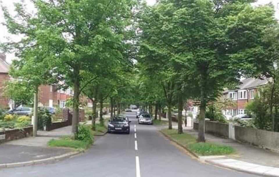 Middlefield Road seen when the trees were in full leaf earlier this yearSera Serfozo