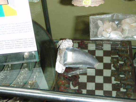 This image shows a fossilized Tarbosaurus bataar tooth for sale in a Mongolian museum, according to attorneys for fossil dealer Eric Prokopi. Mongolian law makes fossils found within its borders state property, and Prokopi's legal team maintain