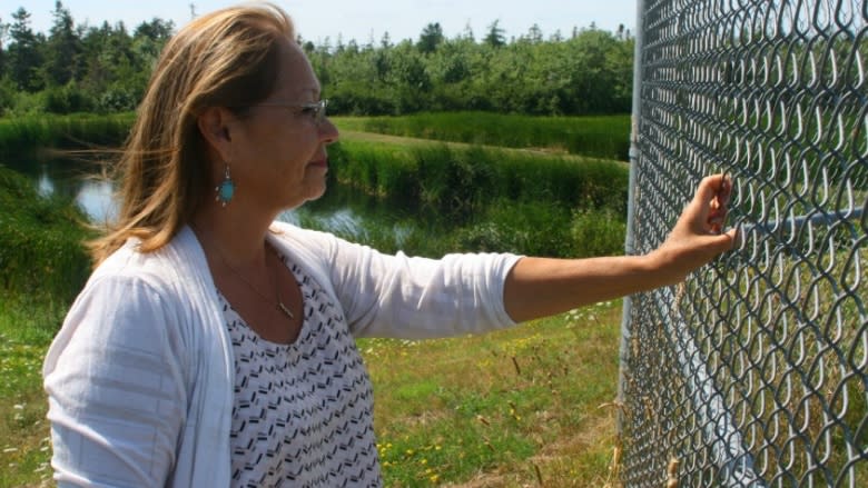 'It's all Mi'kmaq land': Why First Nations claim P.E.I. as their own