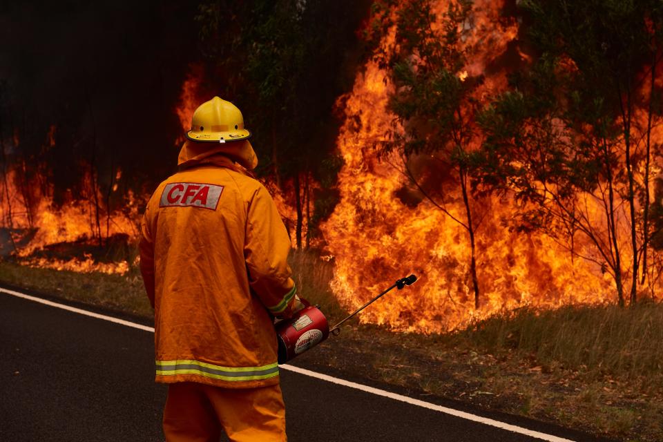 A CFA Member works on controlled back burns along Putty Road. Crews are working hard to gain the upper hand after devastating fires tore through areas near Colo Heights. Bushfires from the Gospers Mountain bushfire continue to burn on November 14, 2019 in Sydney, Australia.