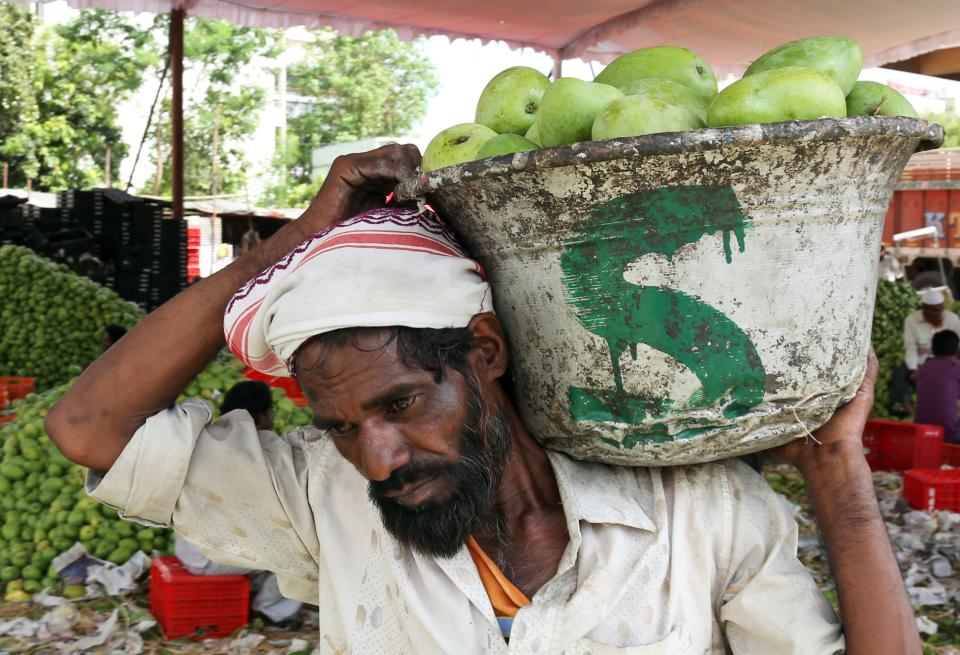 An Indian laborer carries mangoes at a fruit market in Hyderabad, India, Wednesday, May 7, 2014. Mangoes start arriving in Indian markets in April, providing a juicy, delicious respite from summer temperatures and humidity as they start climbing to oppressive levels. (AP Photo/Mahesh Kumar A.)