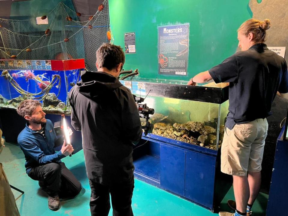 Western Telegraph: ITV's Coast and Country was filming at Sea mor Aquarium on Goodwick Parrog.