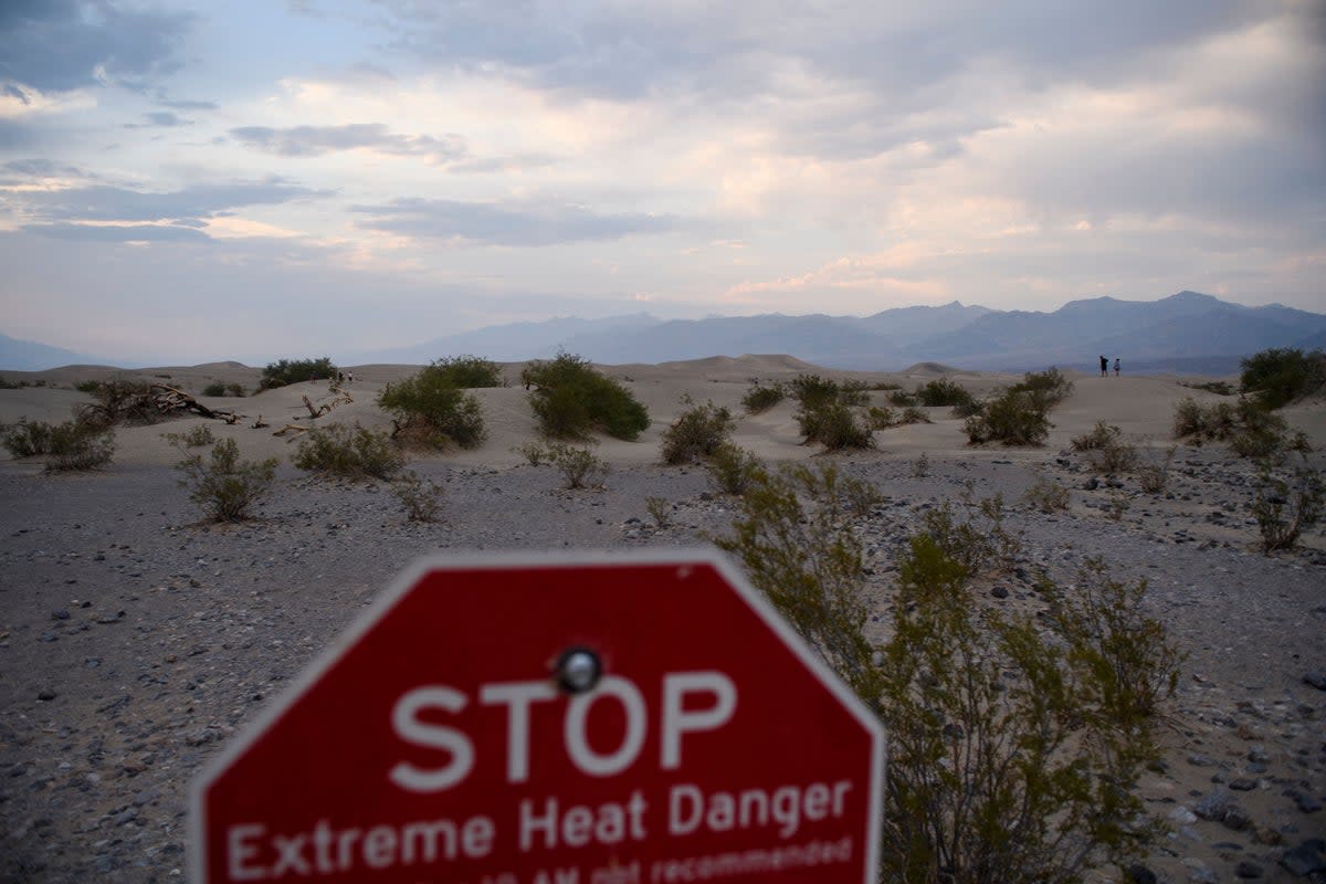 More than 80 million Americans are currently under heat alerts (AFP via Getty Images)