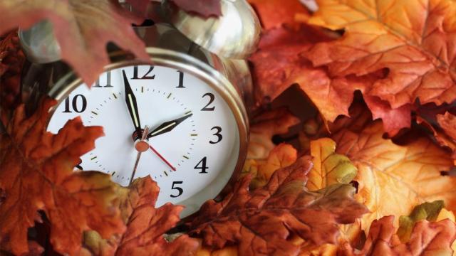 When does Daylight Saving Time 2024 end in Illinois?