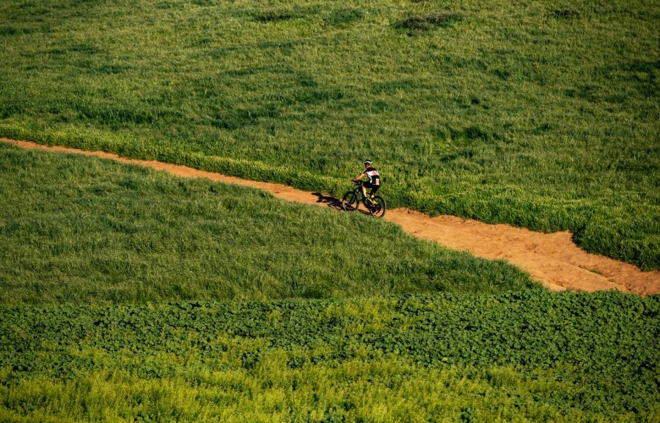 A mountain biker rides on a diagonal dirt path through lush green landscape