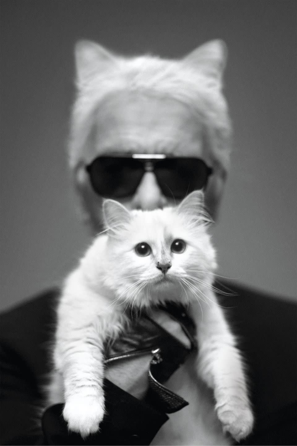 <p>With his beloved cat, Choupette, in the December 2018 issue.</p>