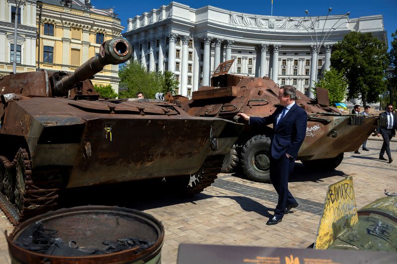 Britain's Foreign Secretary David Cameron and Ukrainian Foreign Minister Dmytro Kuleba meet in Kyiv