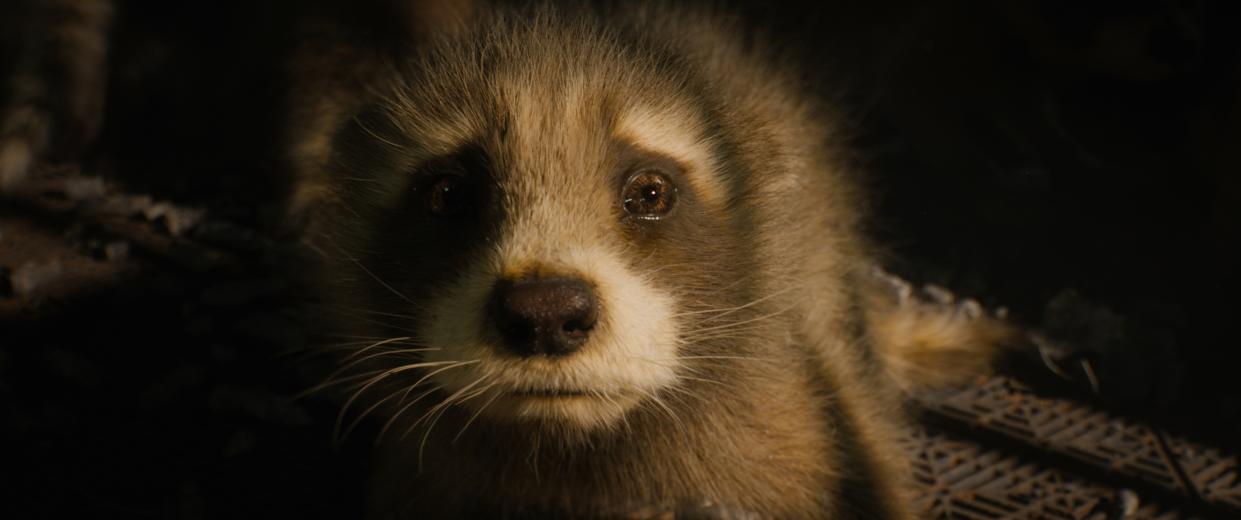 Baby Rocket (voiced by Bradley Cooper) in Marvel Studios' Guardians of the Galaxy Vol. 3. Photo courtesy of Marvel Studios. © 2023 MARVEL.