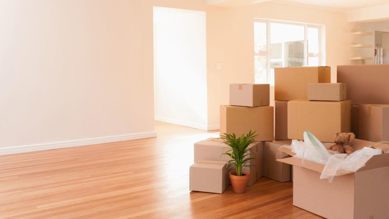  A large pile of brown moving boxes and a houseplant in the middle of a naturally lit open floor space with wood floors and white walls, no furniture 