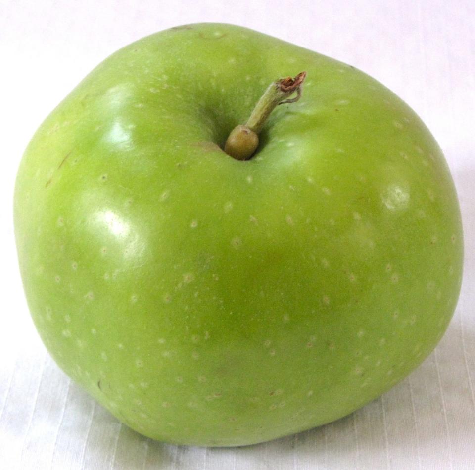 The Rhode Island Greening apple is the state fruit.