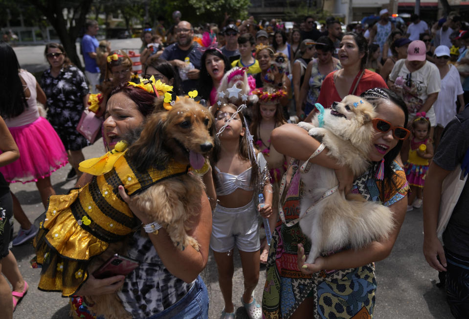 Owners and their costumed pets take part in the "Blocao" dog carnival parade, in Rio de Janeiro, Brazil, Saturday, Feb.18, 2023. (AP Photo/Silvia Izquierdo)