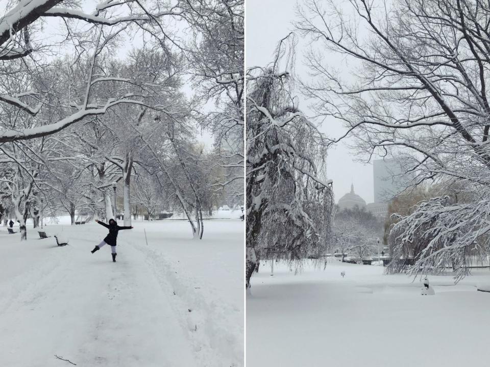 The author in the Public Garden during a snowstorm.